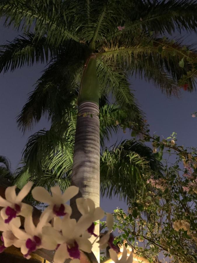 Villa Lulu Maison Búzios エクステリア 写真